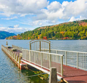 Mount Fuji & Hakone